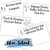 Kajko i Kokosz – plan wydarzeń