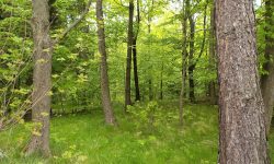 IMG_20250503_103242343