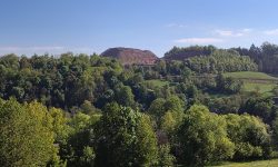 IMG_20250512_085447252_HDR